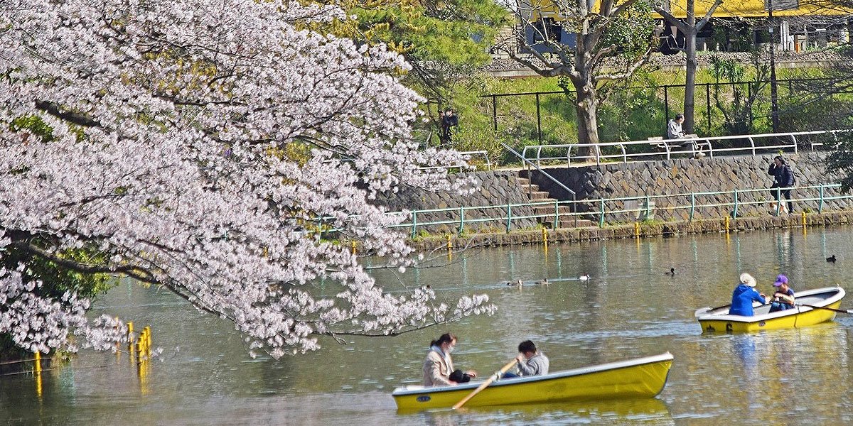 🏞️ 네리마 구립 무사시세키 공원 이미지 1